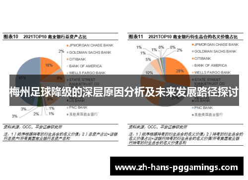 梅州足球降级的深层原因分析及未来发展路径探讨