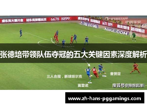 张德培带领队伍夺冠的五大关键因素深度解析