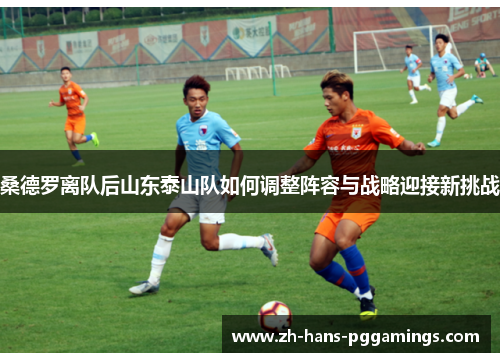 桑德罗离队后山东泰山队如何调整阵容与战略迎接新挑战