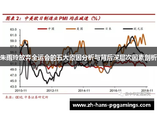 朱雨玲放弃全运会的五大原因分析与背后深层次因素剖析