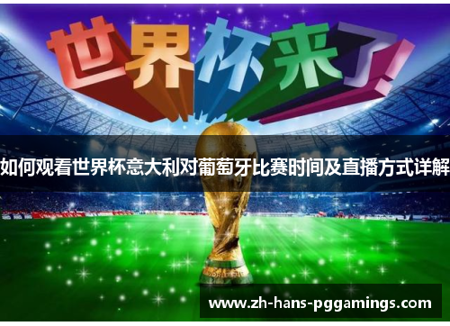 如何观看世界杯意大利对葡萄牙比赛时间及直播方式详解