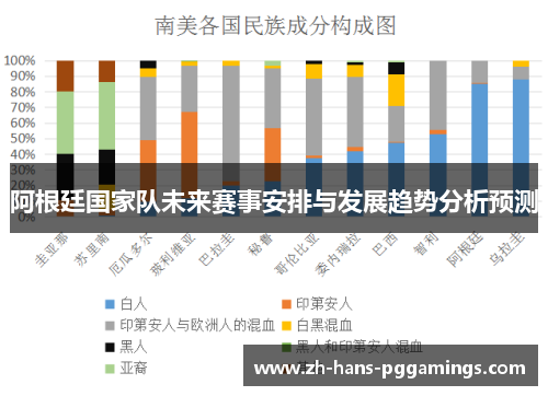 阿根廷国家队未来赛事安排与发展趋势分析预测