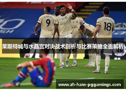 莱斯特城与水晶宫对决战术剖析与比赛策略全面解析