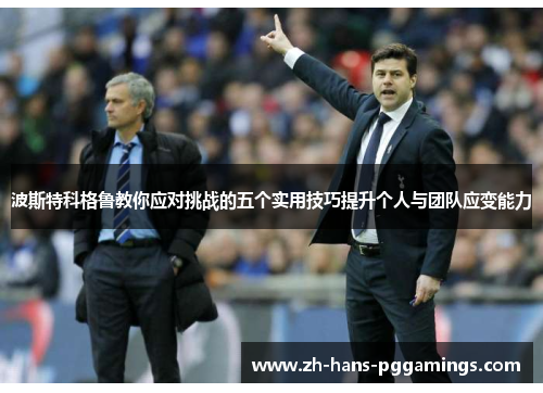 波斯特科格鲁教你应对挑战的五个实用技巧提升个人与团队应变能力