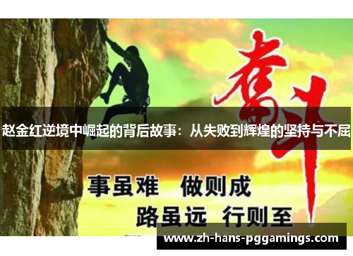 赵金红逆境中崛起的背后故事：从失败到辉煌的坚持与不屈