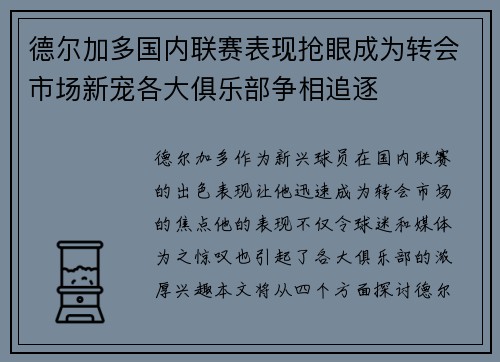 德尔加多国内联赛表现抢眼成为转会市场新宠各大俱乐部争相追逐